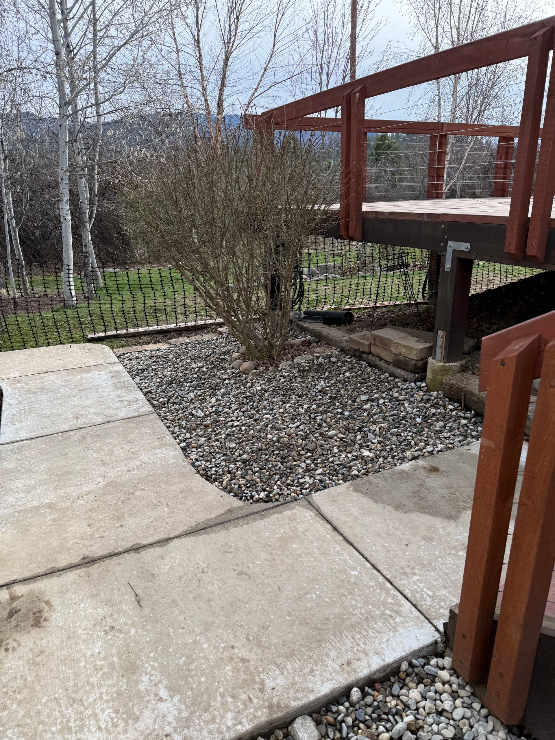 Gallery photos for Pet-Friendly Gravel Pathway Makeover: Image #2