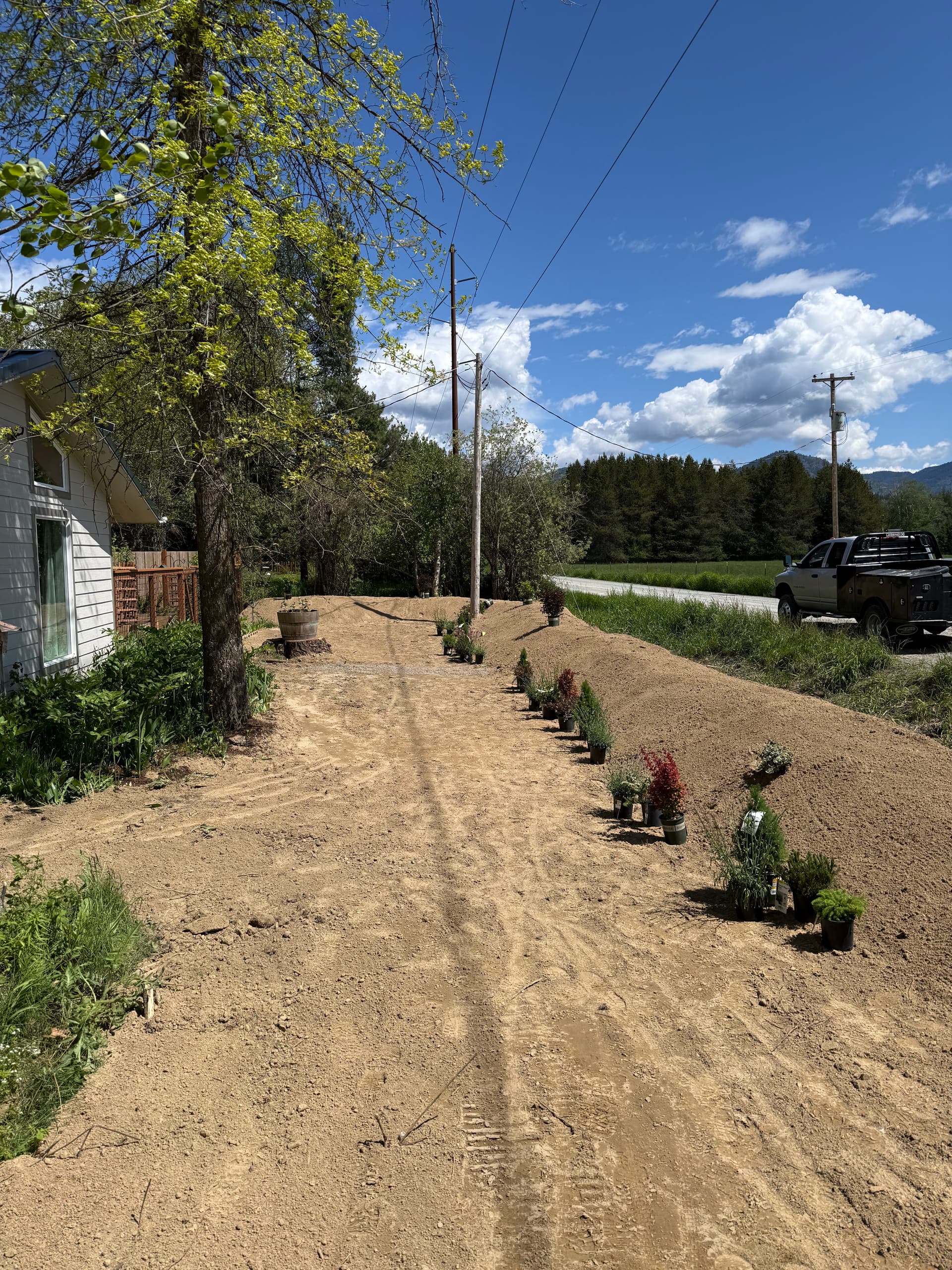 Gallery photos for Fixing Yard Flooding With Final Grading and Underground Drainage: Image #2